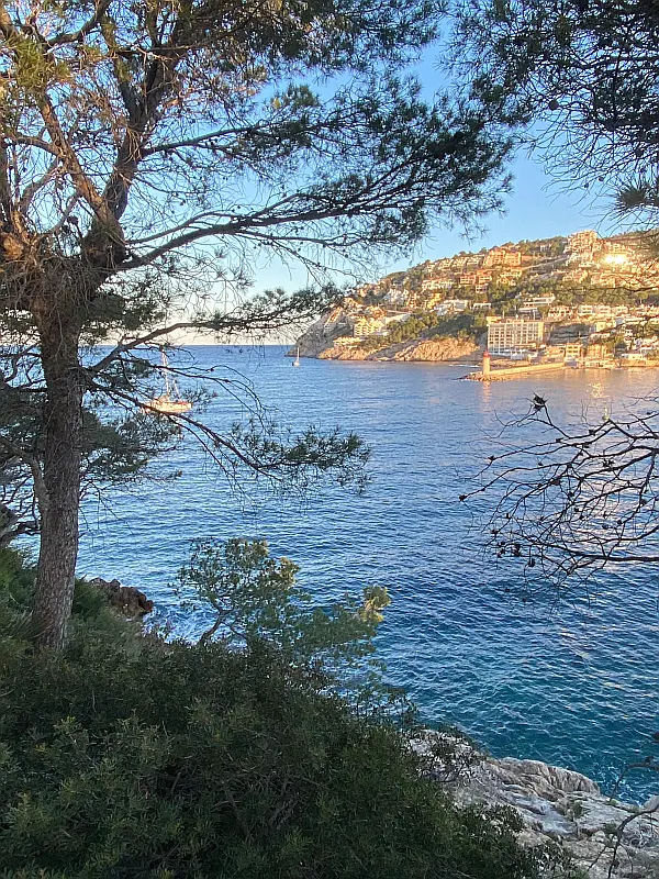 Warum sich ein Skipper lohnt